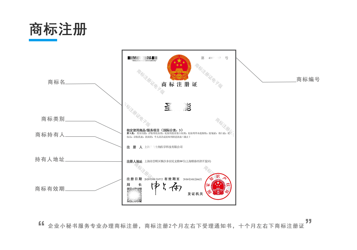 商标注册代理